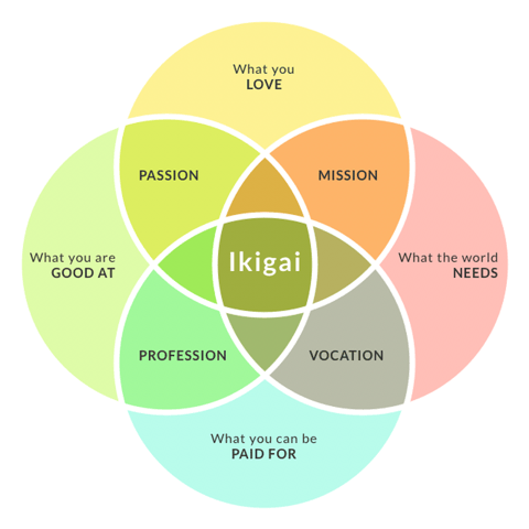 Graphical description of Ikigai