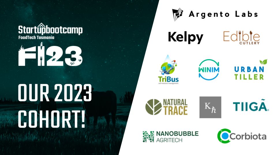 Startup bootcamp cohort selection list including urban tiller